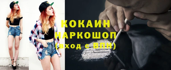 гидра Кодинск