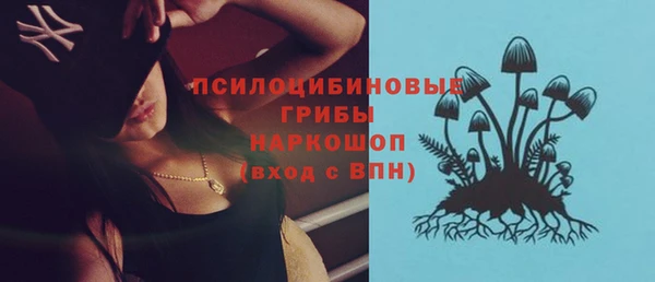 гидра Кодинск