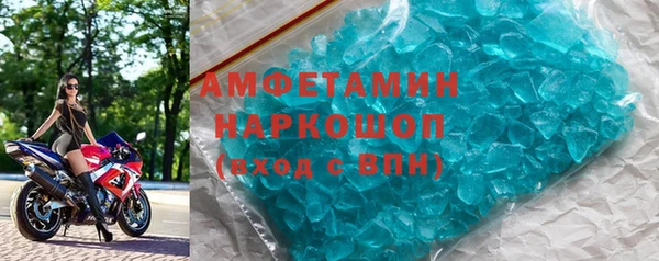 гидра Кодинск