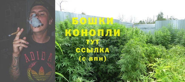 первитин Козловка