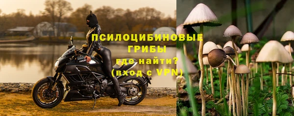 первитин Козловка