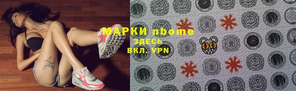 гидра Кодинск