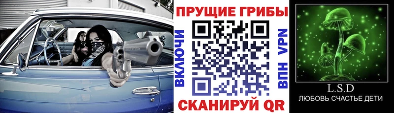 Псилоцибиновые грибы мицелий купить закладку МЕГА рабочий сайт Лесозаводск