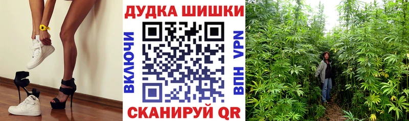 купить закладку Лесозаводск нарко площадка формула МАРИХУАНА Amnesia